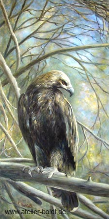 Adler